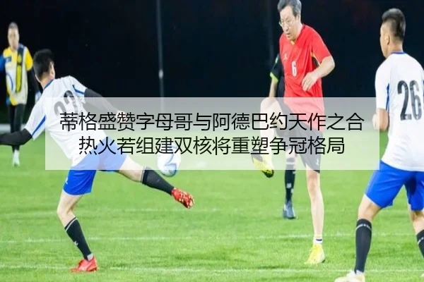 蒂格盛赞字母哥与阿德巴约天作之合 热火若组建双核将重塑争冠格局